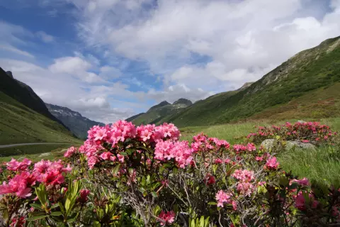 Alpenresidenz Ballunspitze**** Galtür